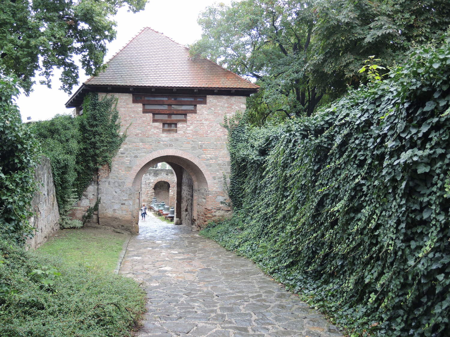 gyvatvorė iš gebenės
