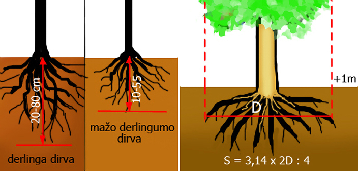 obelu tresimas